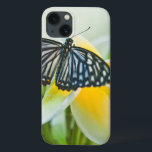 USA, Pennsylvania. Swallowtail butterfly iPhone 13 Case<br><div class="desc">USA,  Pennsylvania. Swallowtail butterfly on flower. Credit as: Nancy Rotenberg / Jaynes Gallery / DanitaDelimont.com | Jaynes Gallery / DanitaDelimont.com</div>
