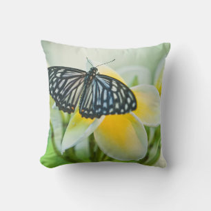USA, Pennsylvania. Swallowtail butterfly Cushion