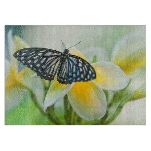 USA, Pennsylvania. Swallowtail butterfly Cutting Board