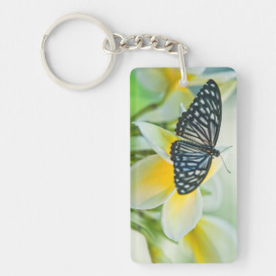 USA, Pennsylvania. Swallowtail butterfly Key Ring