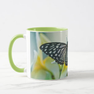 USA, Pennsylvania. Swallowtail butterfly Mug