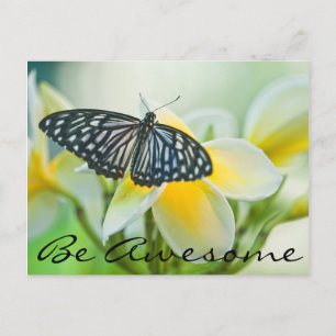USA, Pennsylvania. Swallowtail butterfly Postcard