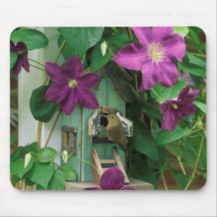 USA, Pennsylvania. Wren in birdhouse Mouse Pad
