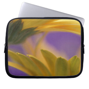 USA, Pennsylvania. Yellow Gerbera Daisies, close Laptop Sleeve