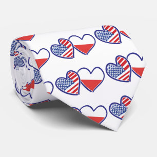 USA Poland Flag Hearts Tie