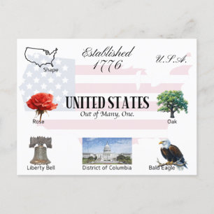 USA Postcard   United States of America