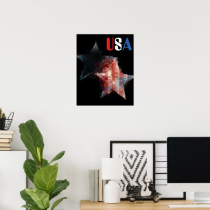 USA Poster