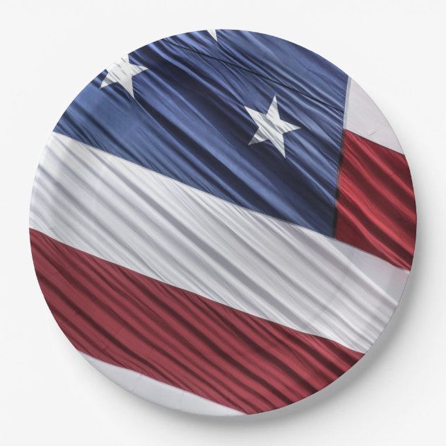 USA Red, White and Blue American Patriotic Flag Paper Plate (Front)
