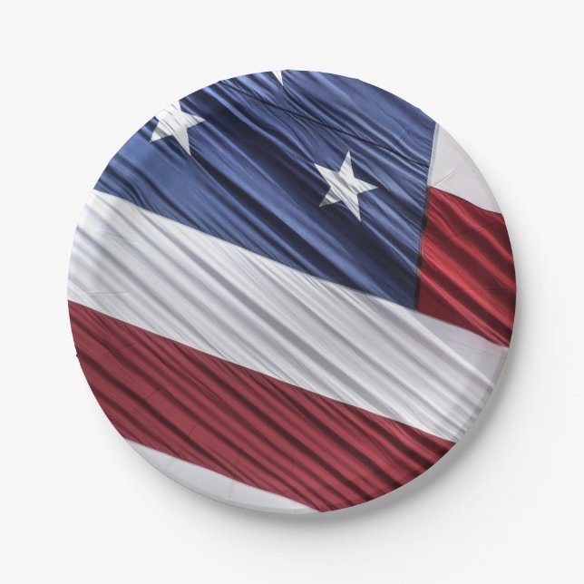 USA Red, White and Blue American Patriotic Flag Paper Plate (Front)