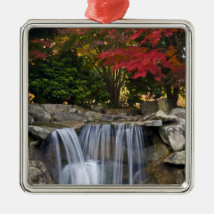 USA, Redmond, Washington. Fall colour in a park. Metal Tree Decoration