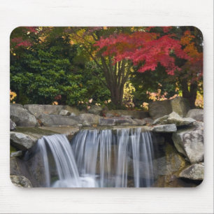 USA, Redmond, Washington. Fall colour in a park. Mouse Pad