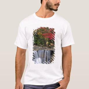 USA, Redmond, Washington. Fall colour in a park. T-Shirt