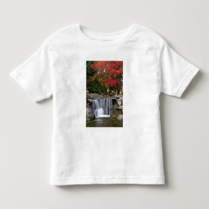 USA, Redmond, Washington. Fall colour in a park. Toddler T-Shirt