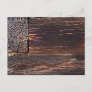 USA, Salmon, Idaho, Log Cabin Postcard