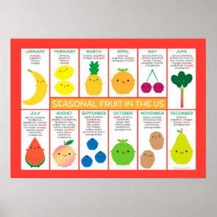USA Seasonal Fruits Chart