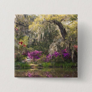 USA, South Carolina, Charleston. Cypress Trees 2 15 Cm Square Badge