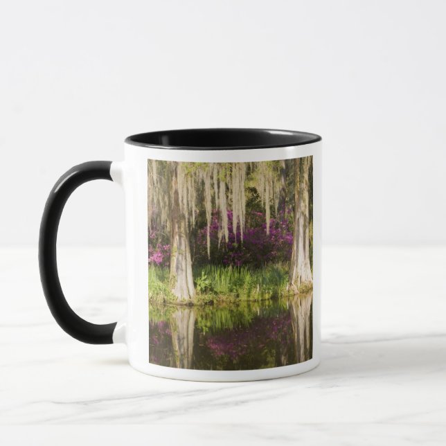 USA, South Carolina, Charleston. Cypress Trees Mug (Left)