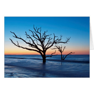 USA, South Carolina, Edisto Island, Botany Bay