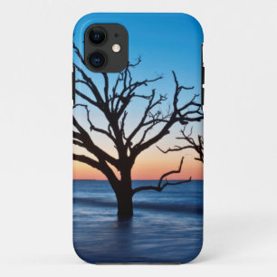 USA, South Carolina, Edisto Island, Botany Bay iPhone 11 Case