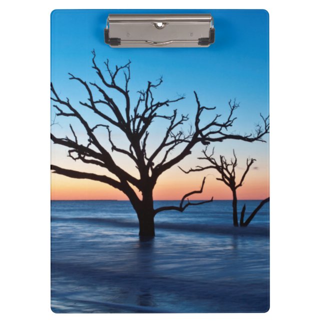 USA, South Carolina, Edisto Island, Botany Bay Clipboard (Front)