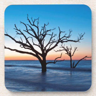 USA, South Carolina, Edisto Island, Botany Bay Coaster