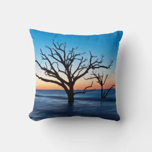 USA, South Carolina, Edisto Island, Botany Bay Cushion