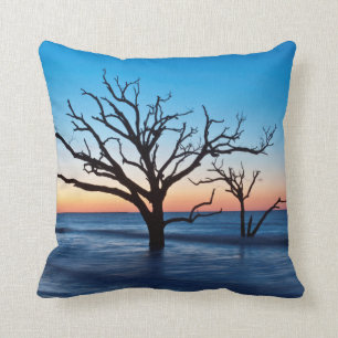 USA, South Carolina, Edisto Island, Botany Bay Cushion