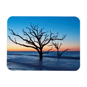 USA, South Carolina, Edisto Island, Botany Bay Magnet