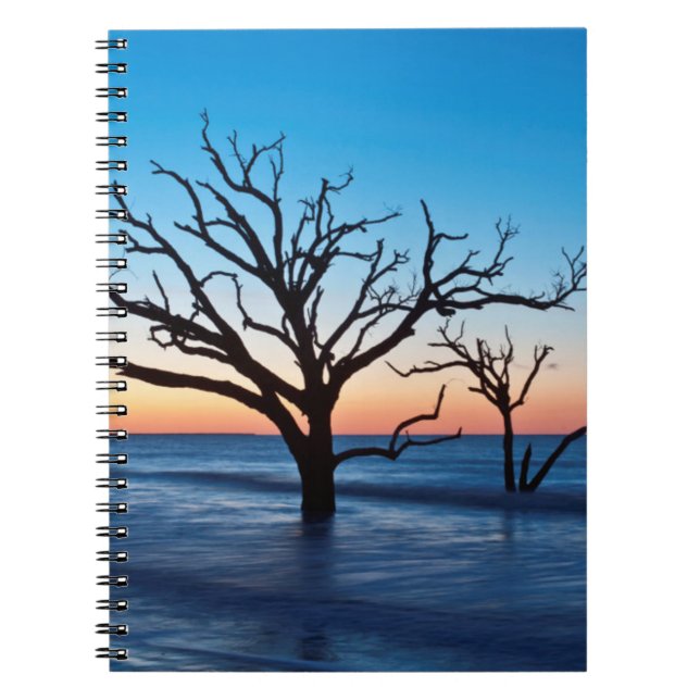USA, South Carolina, Edisto Island, Botany Bay Notebook (Front)