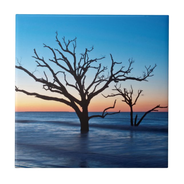 USA, South Carolina, Edisto Island, Botany Bay Tile (Front)