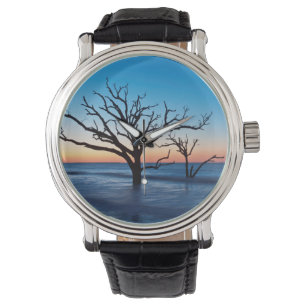 USA, South Carolina, Edisto Island, Botany Bay Watch