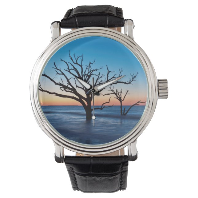 USA, South Carolina, Edisto Island, Botany Bay Watch (Front)