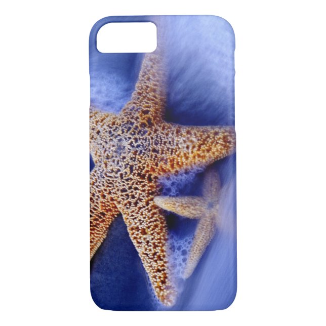 USA, South Carolina, Hilton Head Island. Two Case-Mate iPhone Case (Back)