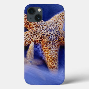 USA, South Carolina, Hilton Head Island. Two iPhone 13 Case