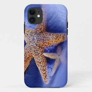 USA, South Carolina, Hilton Head Island. Two iPhone 11 Case