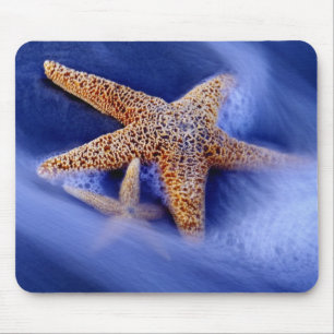 USA, South Carolina, Hilton Head Island. Two Mouse Pad