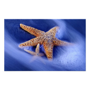 USA, South Carolina, Hilton Head Island. Two Photo Print