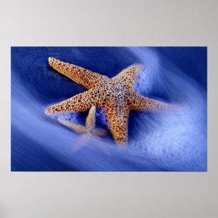 USA, South Carolina, Hilton Head Island. Two Poster