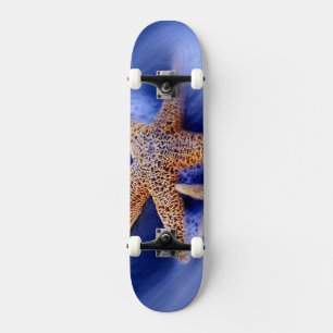 USA, South Carolina, Hilton Head Island. Two Skateboard