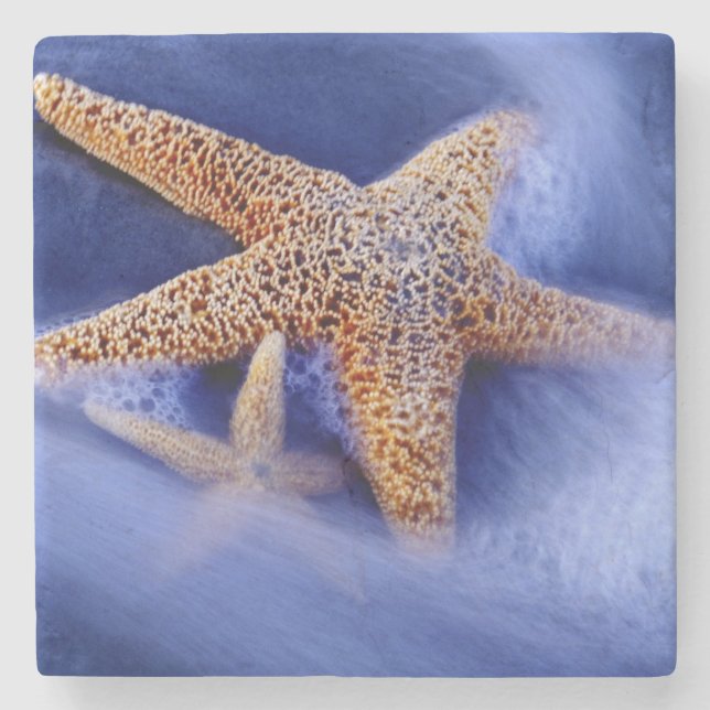 USA, South Carolina, Hilton Head Island. Two Stone Coaster (Front)