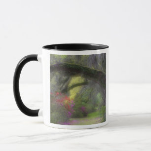 USA, South Carolina, Magnolia Gardens. Mug