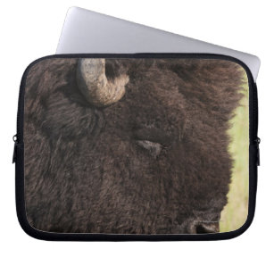 USA, South Dakota, American bison (Bison bison) 2 Laptop Sleeve