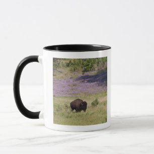 USA, South Dakota, American bison (Bison bison) Mug