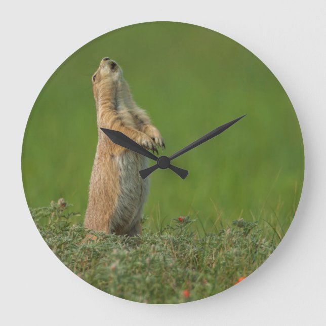 USA, South Dakota, Custer State Park Large Clock (Front)