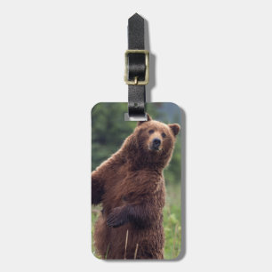 USA, Southeast Alaska, Brown Bear and cub Luggage Tag