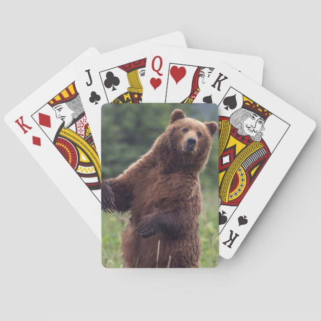 USA, Southeast Alaska, Brown Bear and cub Playing Cards (Back)
