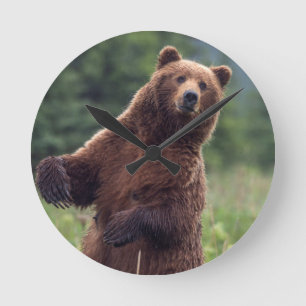 USA, Southeast Alaska, Brown Bear and cub Round Clock