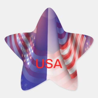 USA STAR STICKER