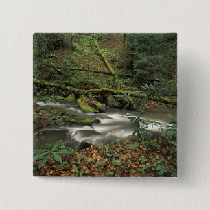 USA, Tennessee. Big South Fork National River 15 Cm Square Badge