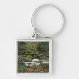 USA, Tennessee. Big South Fork National River Key Ring